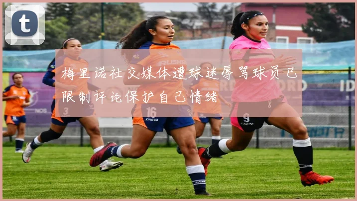 梅里诺社交媒体遭球迷辱骂球员已限制评论保护自己情绪